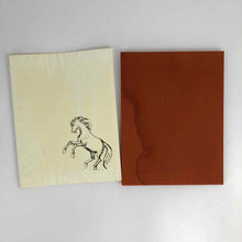 Load image into Gallery viewer, Yves Brayer Art Book