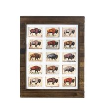 Load image into Gallery viewer, Buffalo Bison Print