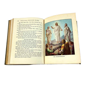 Advanced Bible Study Book