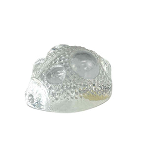 Norwegian Crystal Ladybug