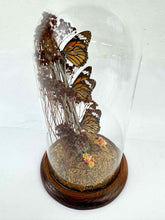 Load image into Gallery viewer, Monarch Butterfly Diorama Cloche