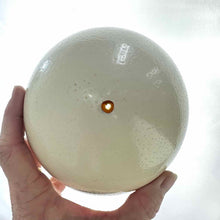 Load image into Gallery viewer, Ostrich Egg Shell