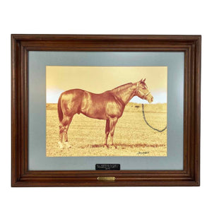 Rocket Wrangler Racehorse Photo