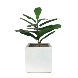 White Fiberglass Cube Planter