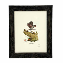 Load image into Gallery viewer, Framed Cardinal Female Print