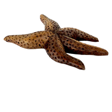 Load image into Gallery viewer, Carved Wooden Starfish