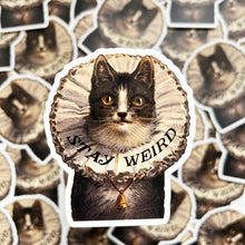 Load image into Gallery viewer, Stay Weird Cat Sticker