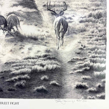 Load image into Gallery viewer, Stag Deer Framed Print