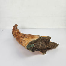 Load image into Gallery viewer, Cypress Knee Sculpture