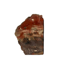 Load image into Gallery viewer, Petrified Wood Bookend