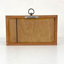 Load image into Gallery viewer, Monarch Butterfly Specimen