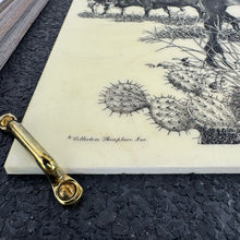 Load image into Gallery viewer, Longhorns &amp; Cactus Marble Etching