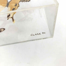 Load image into Gallery viewer, Butterfly Specimen Box