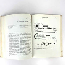 Load image into Gallery viewer, Vintage Book
