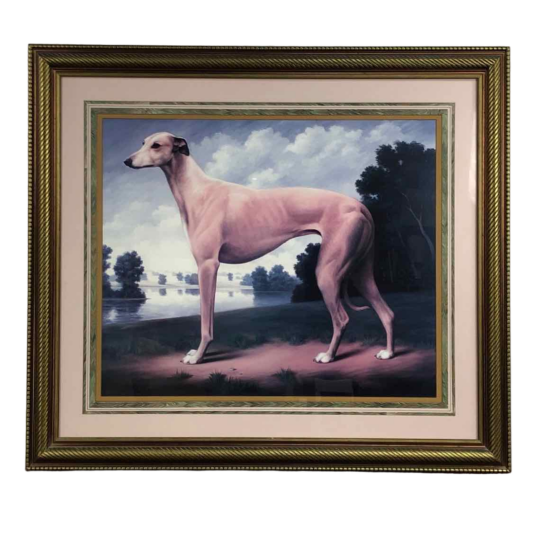 Greyhound Dog Portrait