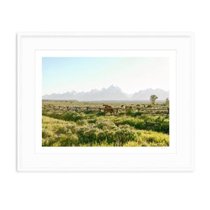 Jackson Hole Ranch Print