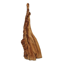 Load image into Gallery viewer, Cypress Knee Sculpture