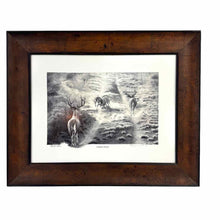 Load image into Gallery viewer, Stag Deer Framed Print