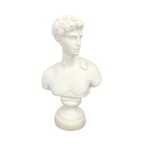 Load image into Gallery viewer, Alabaster David Bust