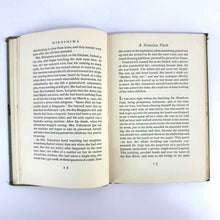 Load image into Gallery viewer, Green Hiroshima Book