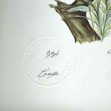 Load image into Gallery viewer, Framed Meadowlark  Print