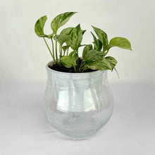 Load image into Gallery viewer, Glass Grid Vase