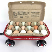 Load image into Gallery viewer, Red Mini Radio Flyer Wagon