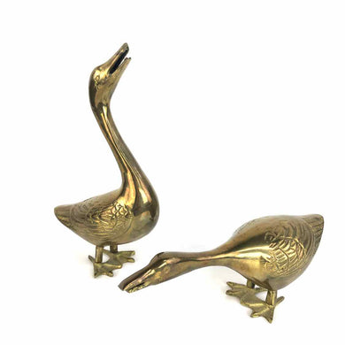 Brass Ducks