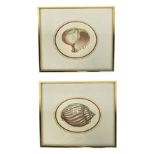 Load image into Gallery viewer, Letterpress Shell Prints