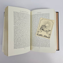 Load image into Gallery viewer, The Magic Mountain Book