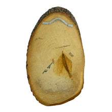 Load image into Gallery viewer, Jesus The Good Shepherd Plaque