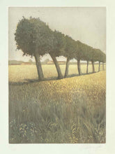 Load image into Gallery viewer, Trees in Meadow Framed Etching