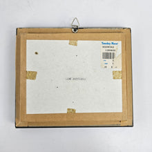 Load image into Gallery viewer, Lime Butterfly Specimen