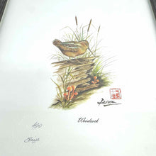 Load image into Gallery viewer, Framed Woodcock  Print