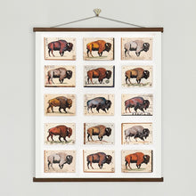 Load image into Gallery viewer, As Far As the Eye Can See - Buffalo Print