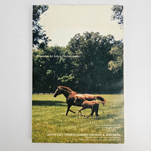 Load image into Gallery viewer, Kentucky Derby Book