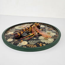 Load image into Gallery viewer, Faux Wasp Taxidermy