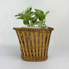 Load image into Gallery viewer, Woven Planter Basket