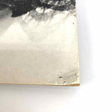 Load image into Gallery viewer, Ava Gardner Photo