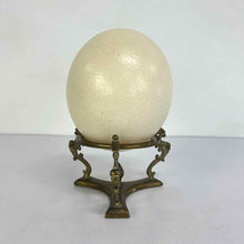 Load image into Gallery viewer, Ostrich Egg &amp; Brass Stand