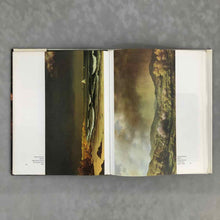 Load image into Gallery viewer, Early American Artists Book