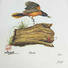 Load image into Gallery viewer, Framed Oriole  Print