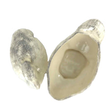 Load image into Gallery viewer, Ceramic Duck Tureen