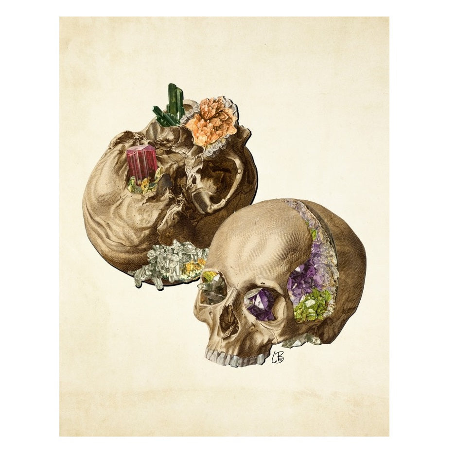Crystal Skulls Print