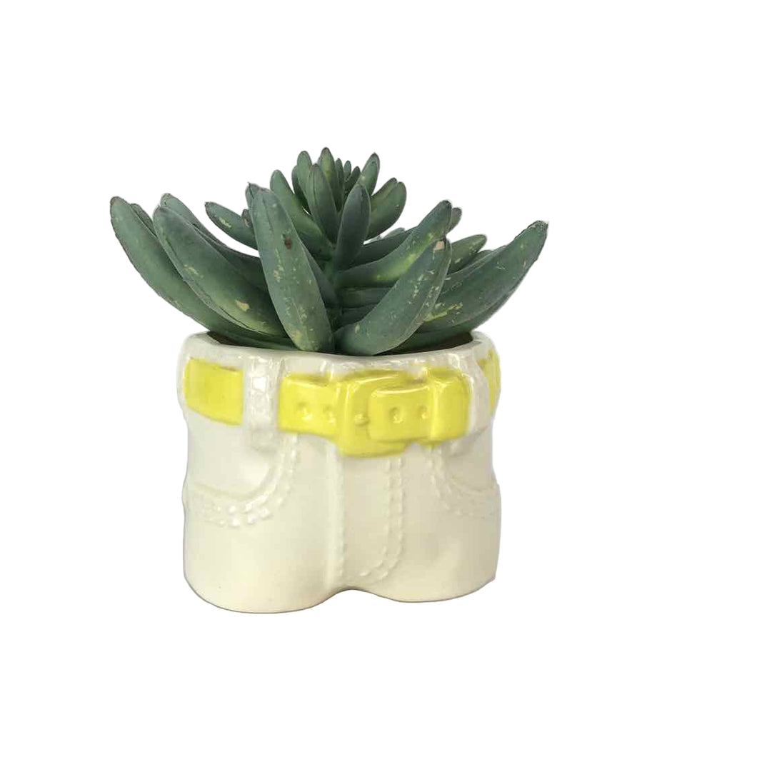 Ceramic Jeans Planter