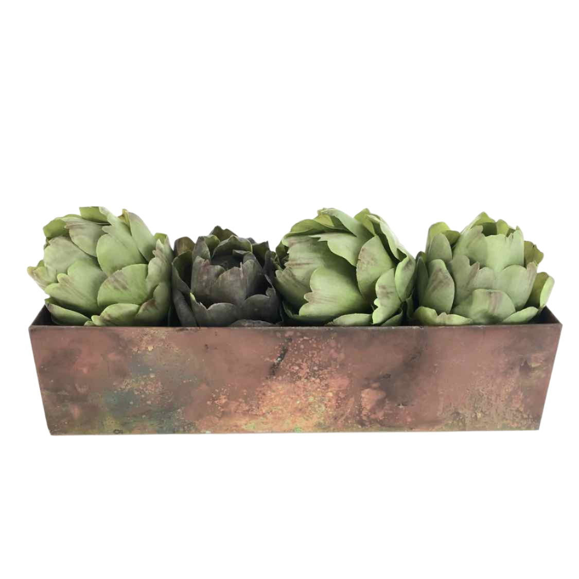 brass succulent planter Brass Rectangular Planter – Found Furnishings