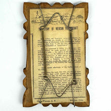 Load image into Gallery viewer, "Arte Plumario" Bird Art