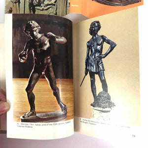 Small Renaissance Bronzes Book