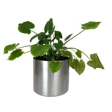 Load image into Gallery viewer, Modern Aluminum Planter