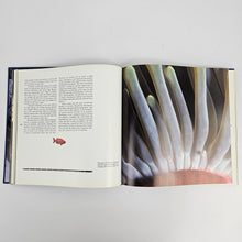 Load image into Gallery viewer, Undersea Life Book